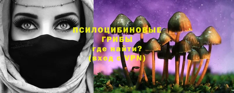 цена   Елизово  Галлюциногенные грибы Psilocybe 